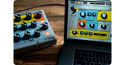 Moog
