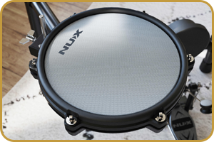 NUX DM-310