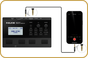 NUX DM-310