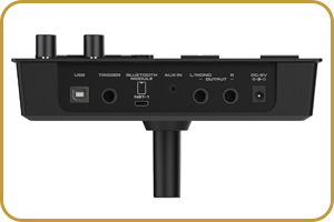 NUX DM-310