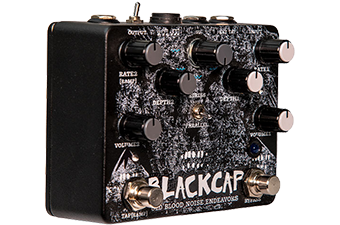 old blood noise endeavours blackcap