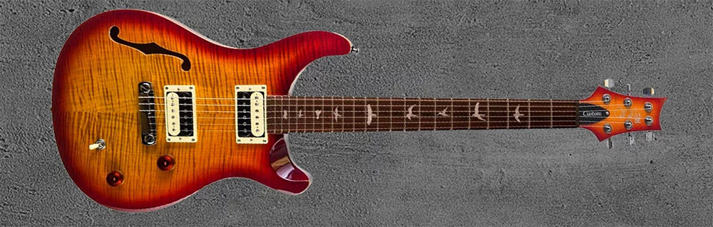 PRS SE Custom22