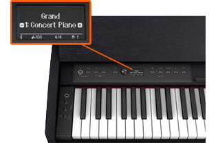 Roland - 'F701'
