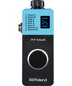 roland rt-mics