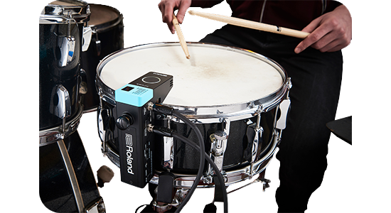 roland rt-mics