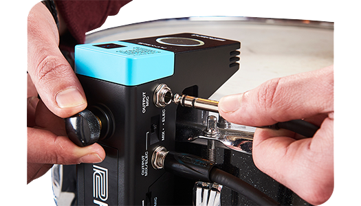 roland rt-mics