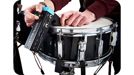 roland rt-mics