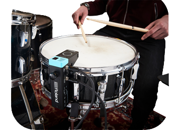 Roland rt-mics