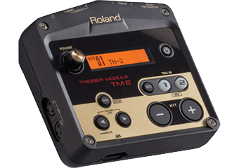 Roland - 'TM-2'