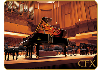 Yamaha DGX-670