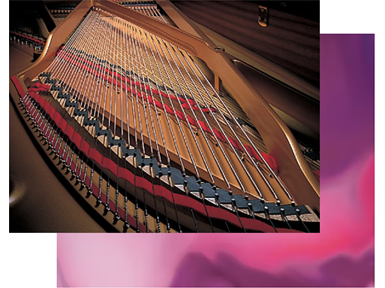 Yamaha P-145