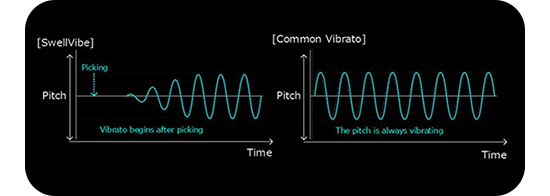 swellvibe