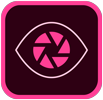 Icon 1