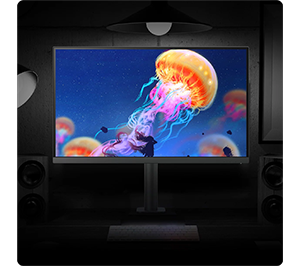 BenQ PD2706U 27 in 4K HDR Monitor