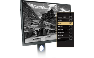 BenQ SW270C 27in 2K 1440p PhotoVue Monitor for Photographers