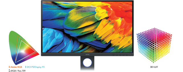 BenQ SW270C 27in 2K 1440p PhotoVue Monitor for Photographers