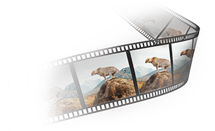 BenQ SW270C 27in 2K 1440p PhotoVue Monitor for Photographers
