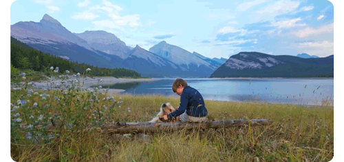 boy sat playing with his dog whilst sat on a log next to a mountain lake as the camera pulls in closer
