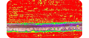 DJI P4 Multispectral Drone UAS for Agriculture