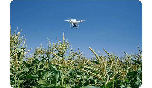 DJI P4 Multispectral Drone UAS for Agriculture