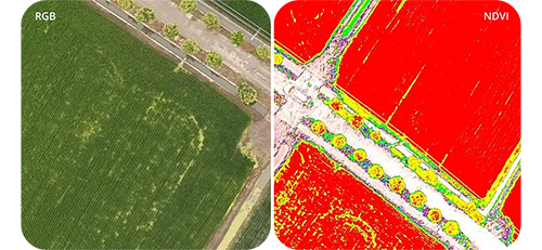 DJI P4 Multispectral Drone UAS for Agriculture
