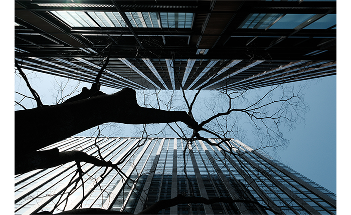 Fujifilm XF 18-120mm F4 Lens Sample Images