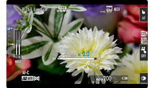 zoom interface on the fuji xh2