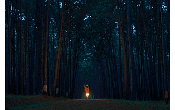 sample image of someone at night in a forrest with a lantern, shot using the fuji xh2 camera