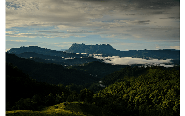 sample image of a forrest from a montain top, shot using the fujifilm xh2 camera