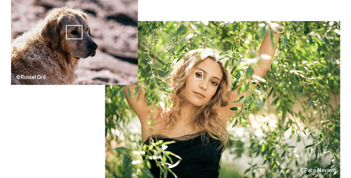 examples of subject detection auto focus on the fujifilm xh2