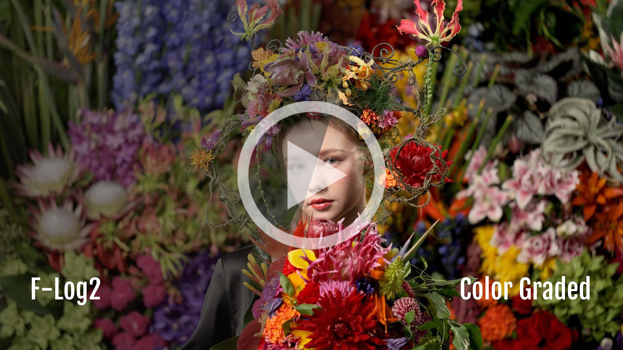 video thumbnail for F-log2 sample video taken on the fujifilm xh2