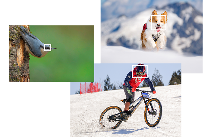 Multiple XH2S sample images of birds, animals and a mountain bike racer with face detection bracketing