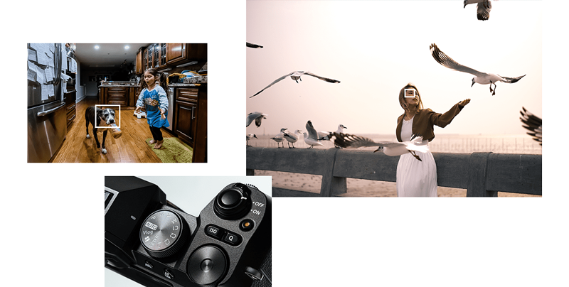 examples of the auto mode scene recognition on the fujifilm xs20