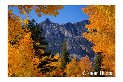 Fujifilm X-T5 Sample image of autumnal orang trees surrounding a mountain side view with blue sky