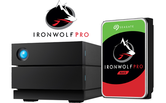LaCie 2big RAID with Seagate Ironwolf Pro NAS Harddrive and IronWolf Pro Logo