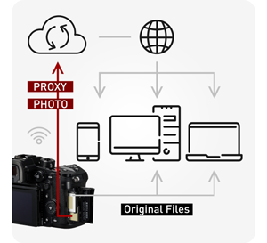 Illustration of Panasonic Lumix GH7 native Frame.io Camera to Cloud integration