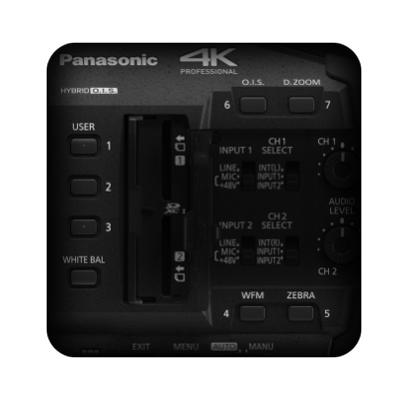 Panasonic - 'HC-X2'