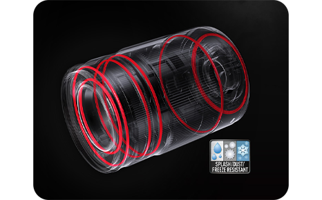 Panasonic LUMIX G X Vario 35-100mm Lens