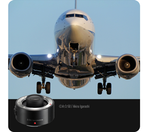 photograph of commercial air liner flying directly over head