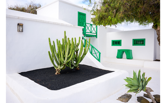 LUMIX S9 and S26mm Sample image of white stone home with green doors and windows with Cactus in small black garden