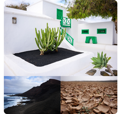 Images of cacti in white stone garden, dark coastal sands and dry desert bed