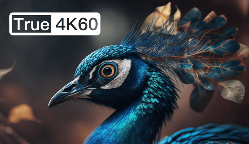 accsoon cineview master 4k true 4k60