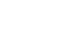 zebra graph line icon