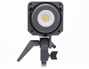 amaran 100d S Daylight LED Light