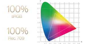 ASUS 23.8in ProArt Display PA247CV Professional Monitor