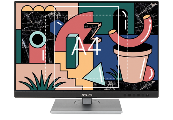 ASUS ProArt PA248CNV 24in Monitor