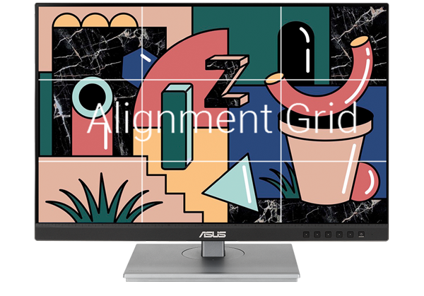 ASUS ProArt PA248CNV 24in Monitor