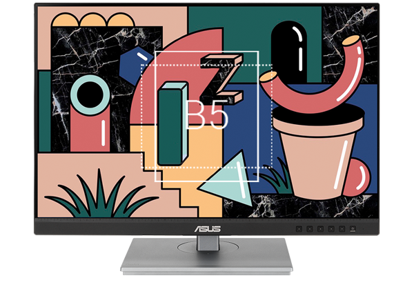 ASUS ProArt PA248CNV 24in Monitor