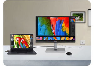 ASUS ProArt PA248CNV 24in Monitor