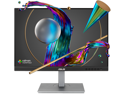 ASUS ProArt PA248CNV 24in Monitor